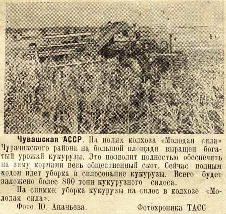 Колхозники ру схемы